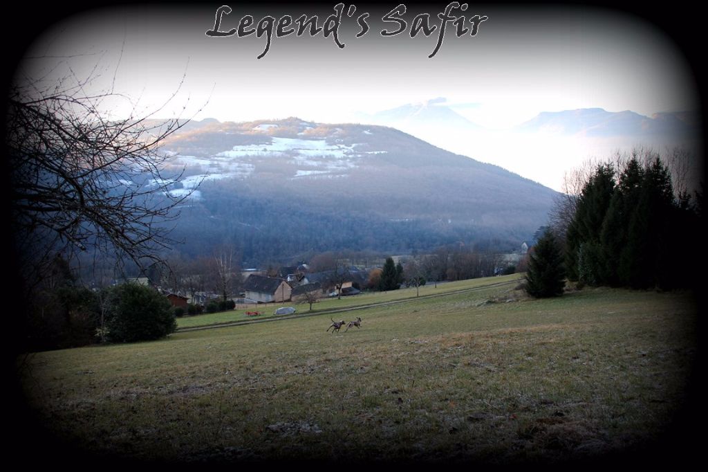 Legend's Safir - Croisons les doigts !