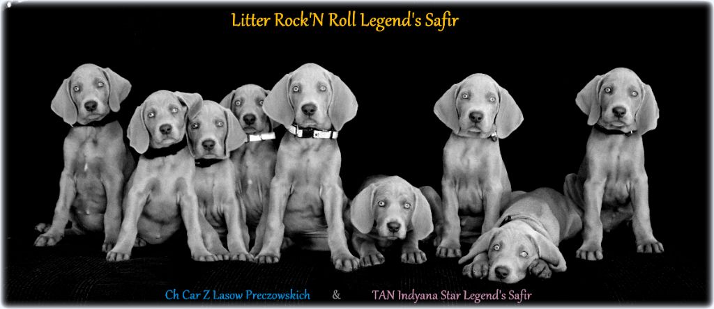 Legend's Safir - Mes 9 p'tits weims