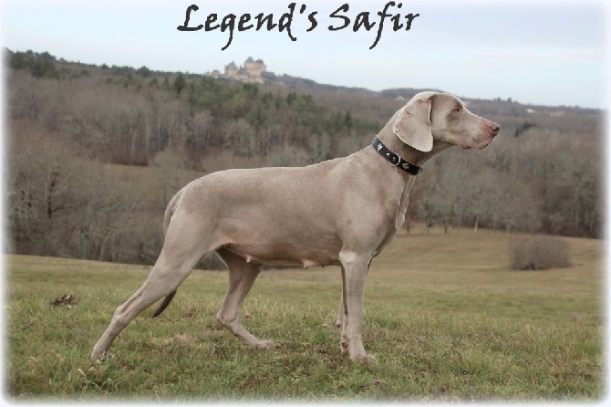 Legend's Safir - First prend des formes!!!