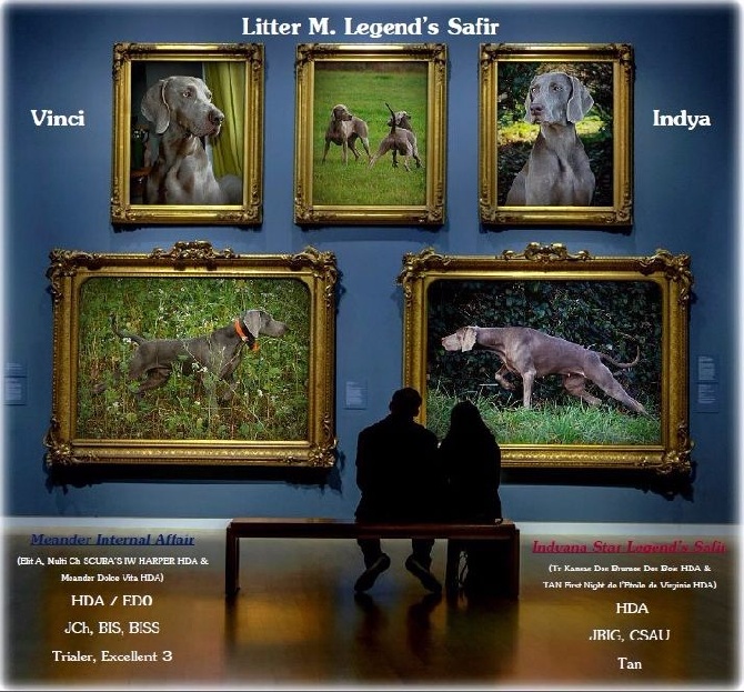 Legend's Safir - Des bébés pour Mars 2016
