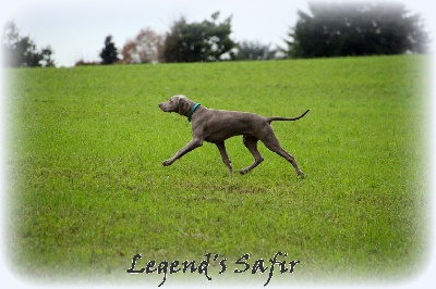 Legend's Safir - Une page se tourne ...