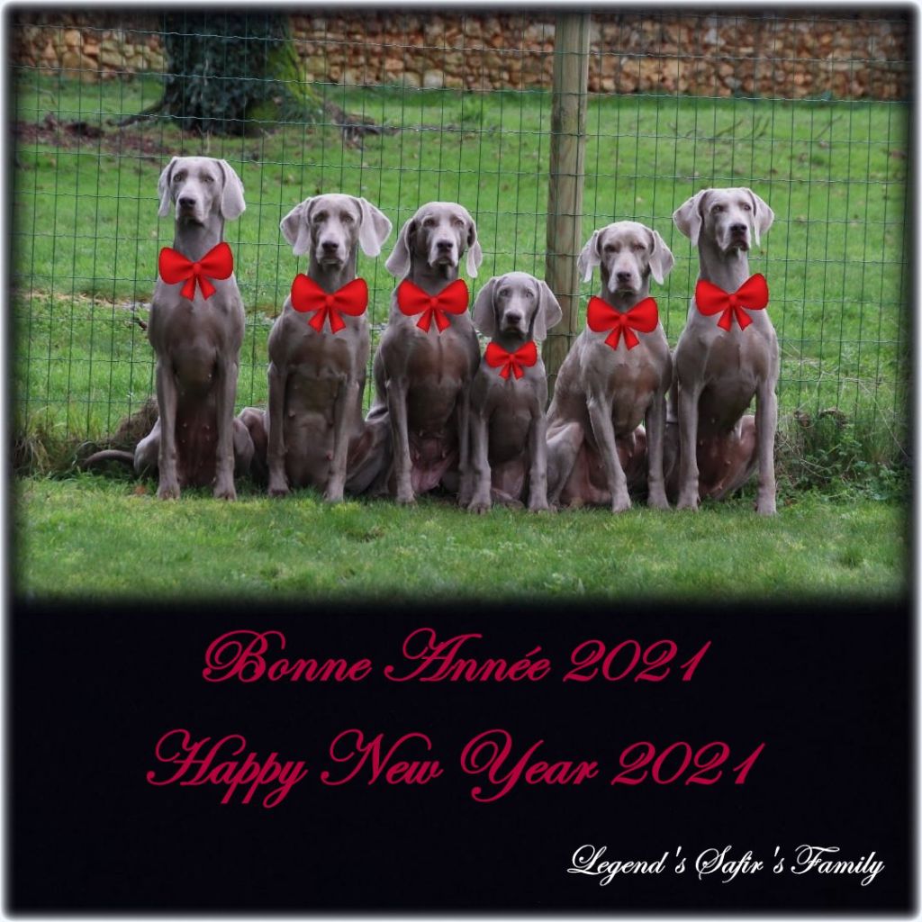 Legend's Safir - Bonne Année 2021