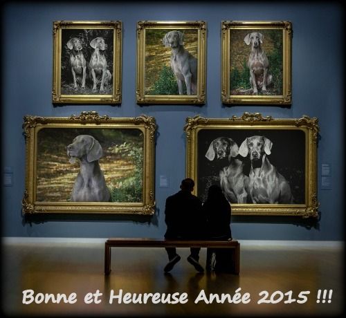 Legend's Safir - Bonne et Heureuse Année 2015 !!!