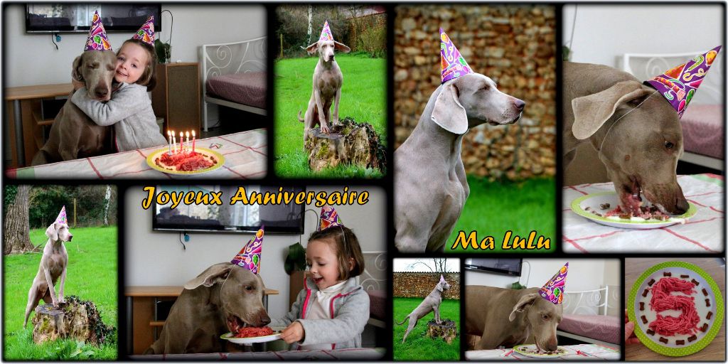 Legend's Safir - Déjà 5 ans!!!